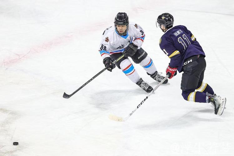 中国男子冰球职业联赛踏冰前行